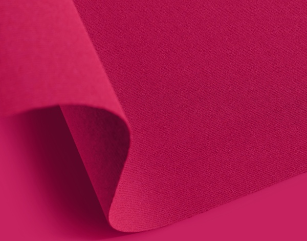Fuchsia 0510